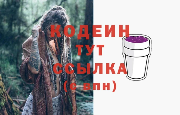 МДПВ Абаза