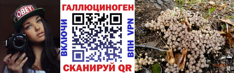 Псилоцибиновые грибы Psilocybe  Людиново 